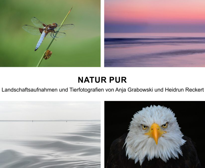 Fotoausstellung Natur Pur